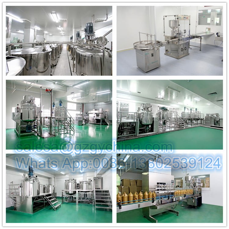 Cosmetic Homogenizer Mixer